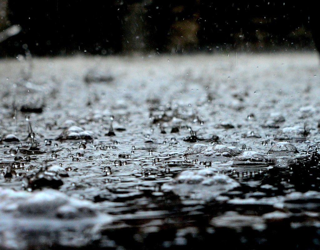 Monsoon muse