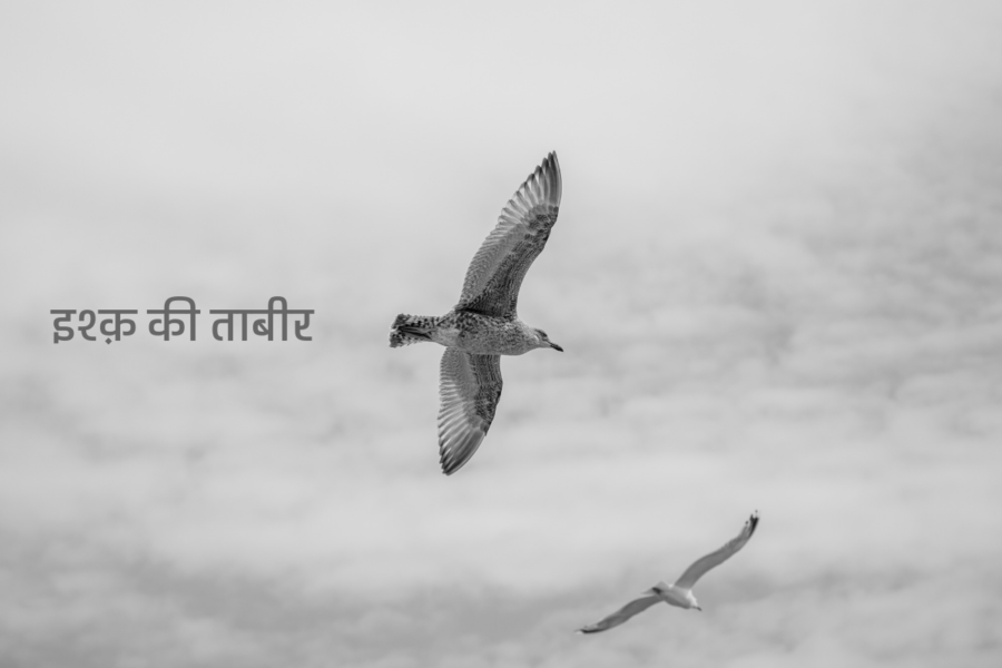 इश्क़ की ताबीर